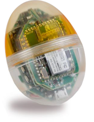 Cracklessegg